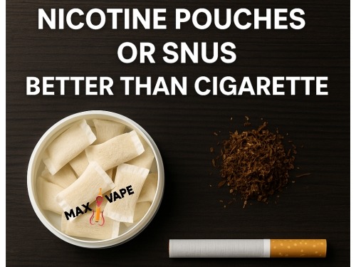 elfbar elfa master akku Is Snus Better Than Smoking? Snus, Nicotine Pouches and Cigarettes Compared main image 0