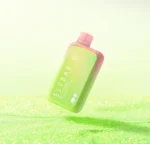 Elf-Bar-Bc10000-strawberry-kiwi-ice
