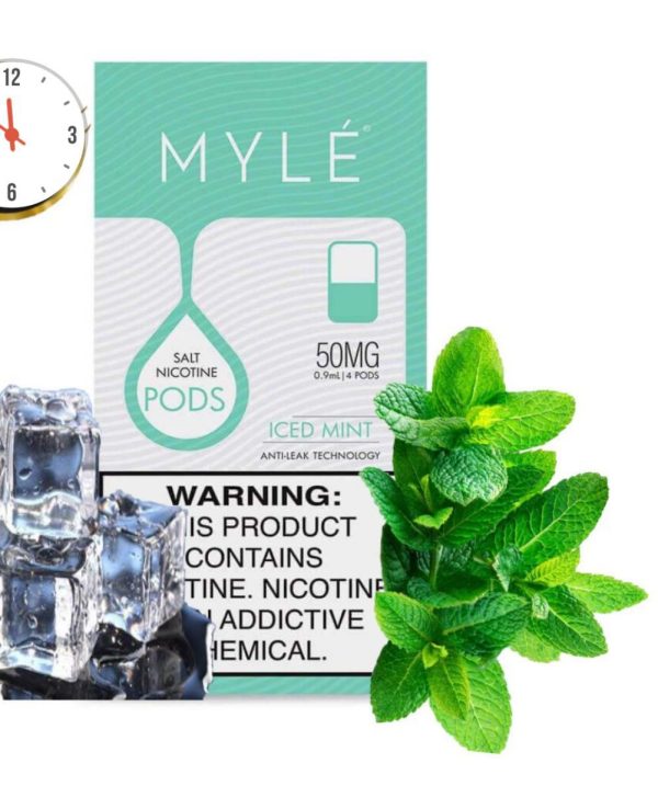 Best Myle V4 Pods Device buy in Dubai UAE - Image 9