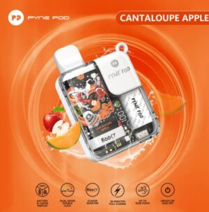 Pyne Pod 8500 Disposable Rechargeable Vape in Dubai - Image 10