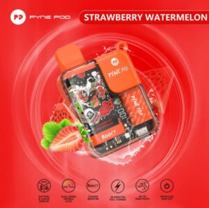 Pyne Pod 8500 Disposable Rechargeable Vape in Dubai - Image 8