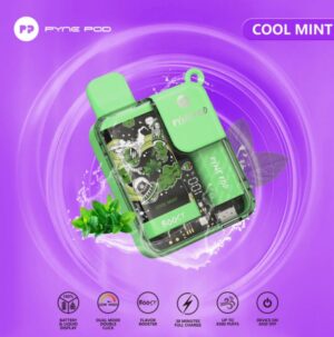 Pyne Pod 8500 Disposable Rechargeable Vape in Dubai - Image 2