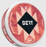 DZRT Nicotine Pouches – Tobacco-Free | 14 Flavors | 3mg–10mg - Image 6