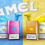 Camel Cigarette in Dubai UAE