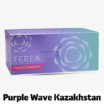 IQOS Terea Purple Wave Kazakhstan – Smooth & Elegant Heat-Not-Burn Tobacco