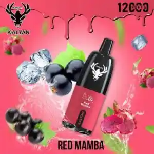 Kalyan Pro 12000 Puffs 50mg Disposable Vape - Image 2